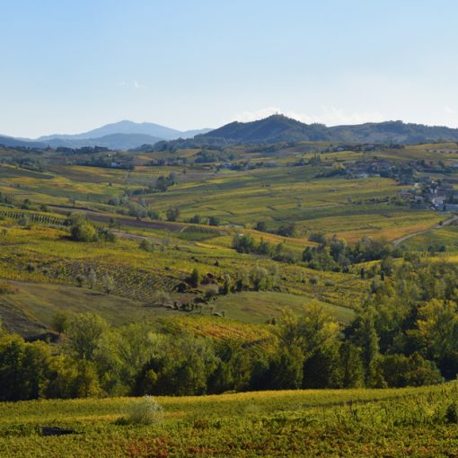 Val Tidone